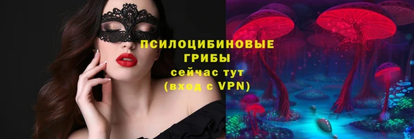 молекула духа Алексин