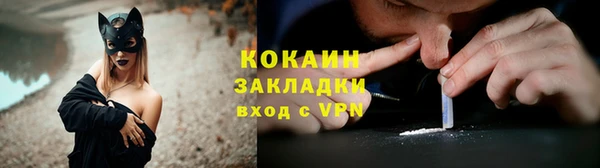 молекула духа Алексин