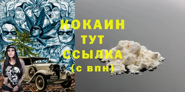 молекула духа Алексин