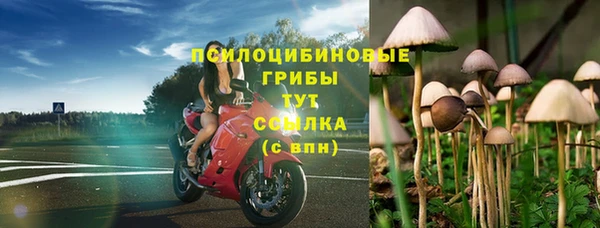 молекула духа Алексин