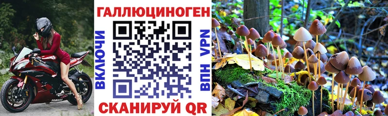 Галлюциногенные грибы Cubensis  Льгов 